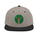 Casquette Snapback AES – Poing Africain & Étoiles de l’Unité - Broderie avant et arrière – Image 15