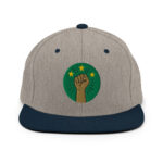 Casquette Snapback AES – Poing Africain & Étoiles de l’Unité - Broderie avant et arrière – Image 11