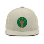 Casquette Snapback AES – Poing Africain & Étoiles de l’Unité - Broderie avant et arrière – Image 17
