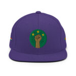 Casquette Snapback AES - Poing Africain & Étoiles de l’Unité - Broderie avant, cotés et arrière – Image 22
