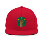Casquette Snapback AES – Poing Africain & Étoiles de l’Unité - Broderie avant et arrière – Image 24