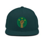 Casquette Snapback AES – Poing Africain & Étoiles de l’Unité - Broderie avant et arrière – Image 28