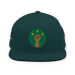 Casquette Snapback AES - Poing Africain & Étoiles de l’Unité - Broderie avant, cotés et arrière – Image 28